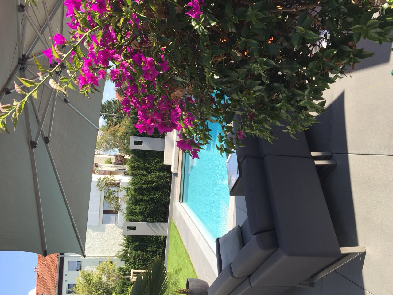 Poolbau mit Umrandung und Gartenanlage