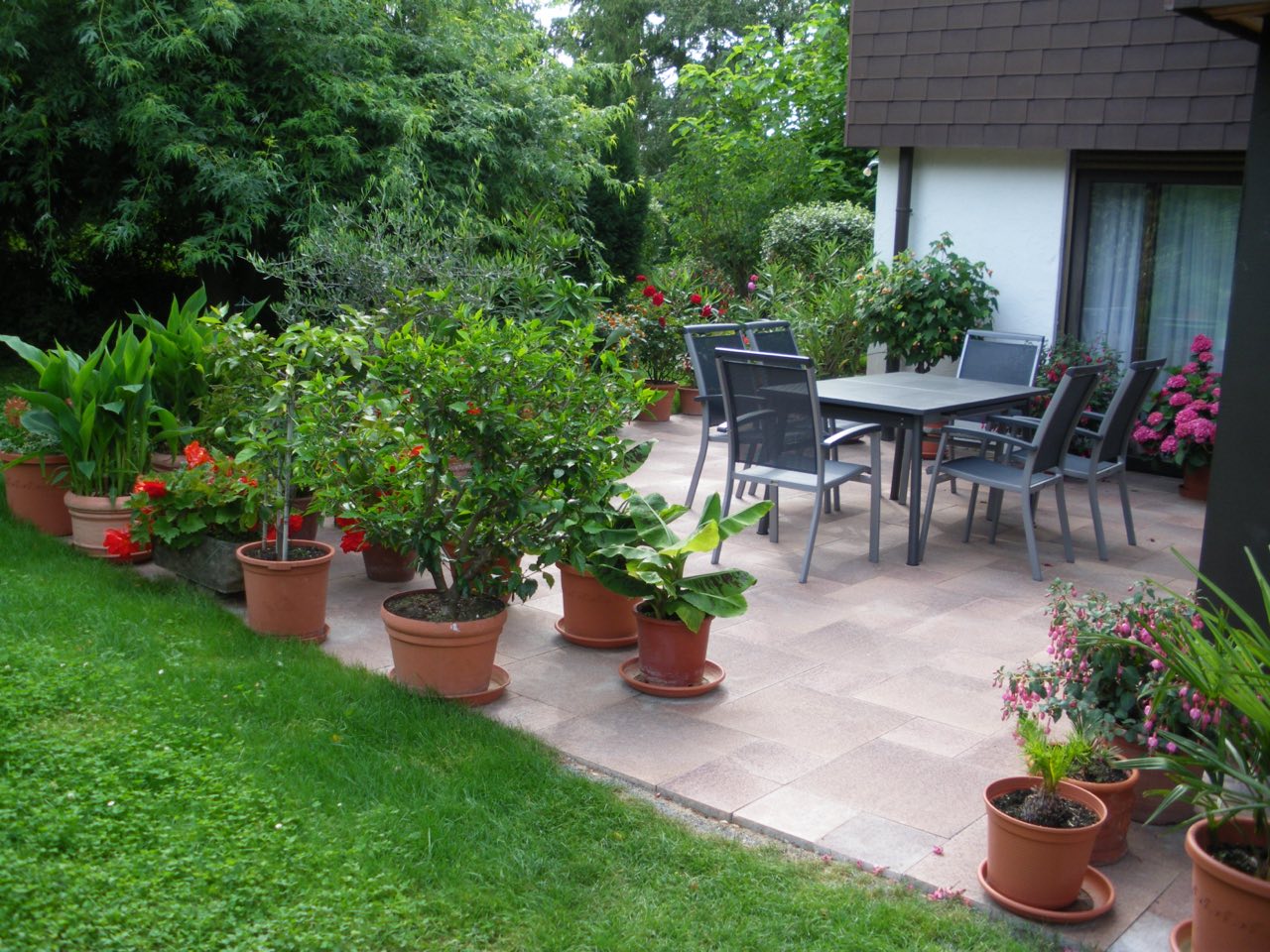 Gepflasterte Terrasse mit Bepflanzung