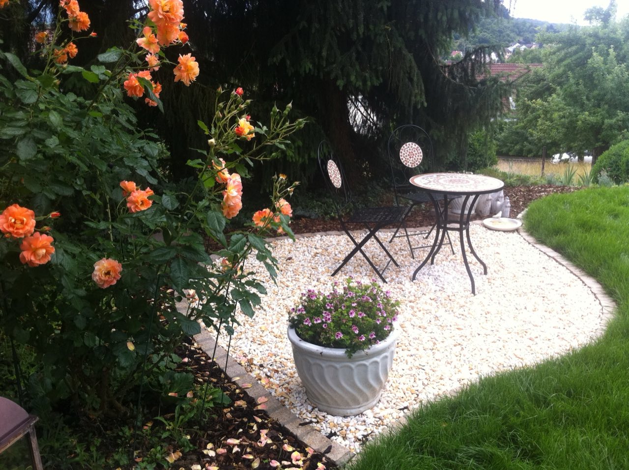 Gartenanlage mit gepflegter Bepflanzung